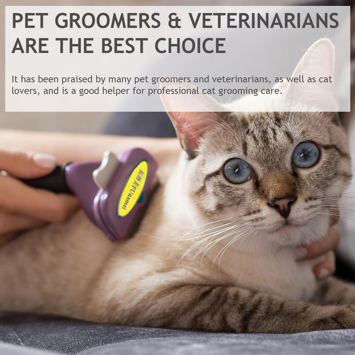 Dog Brush Grooming Accessories Pet Hair Knotting