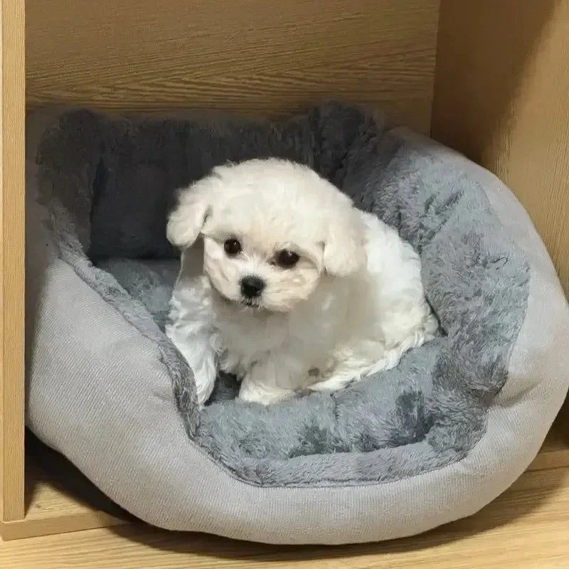 Very Soft Warm Dog Bed Pets Basket Cat House