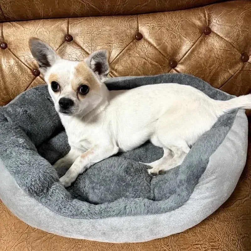 Very Soft Warm Dog Bed Pets Basket Cat House